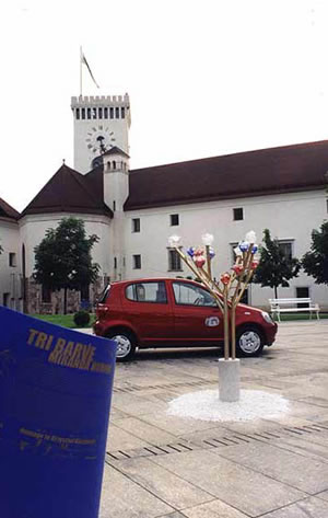 Fairy Installation 6